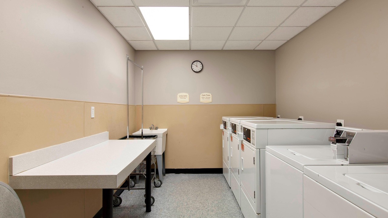 Photo of Others in Bedford Park