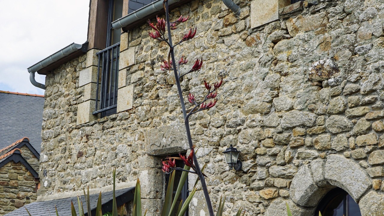 Photo of Outdoor in Cancale