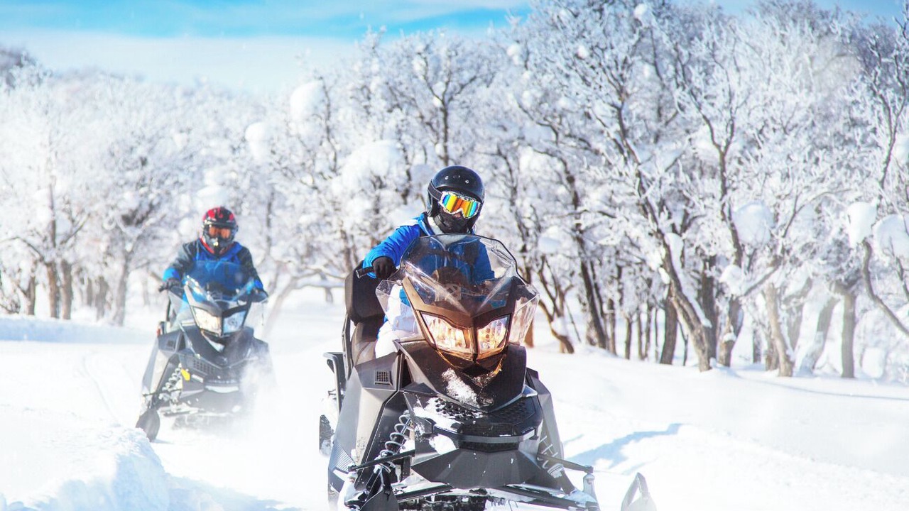 Photo of Others in Wilton