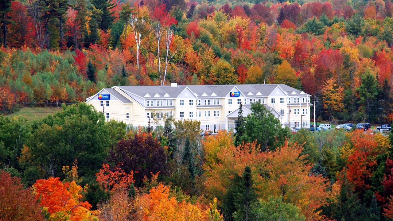 Photo of Outdoor in Wilton