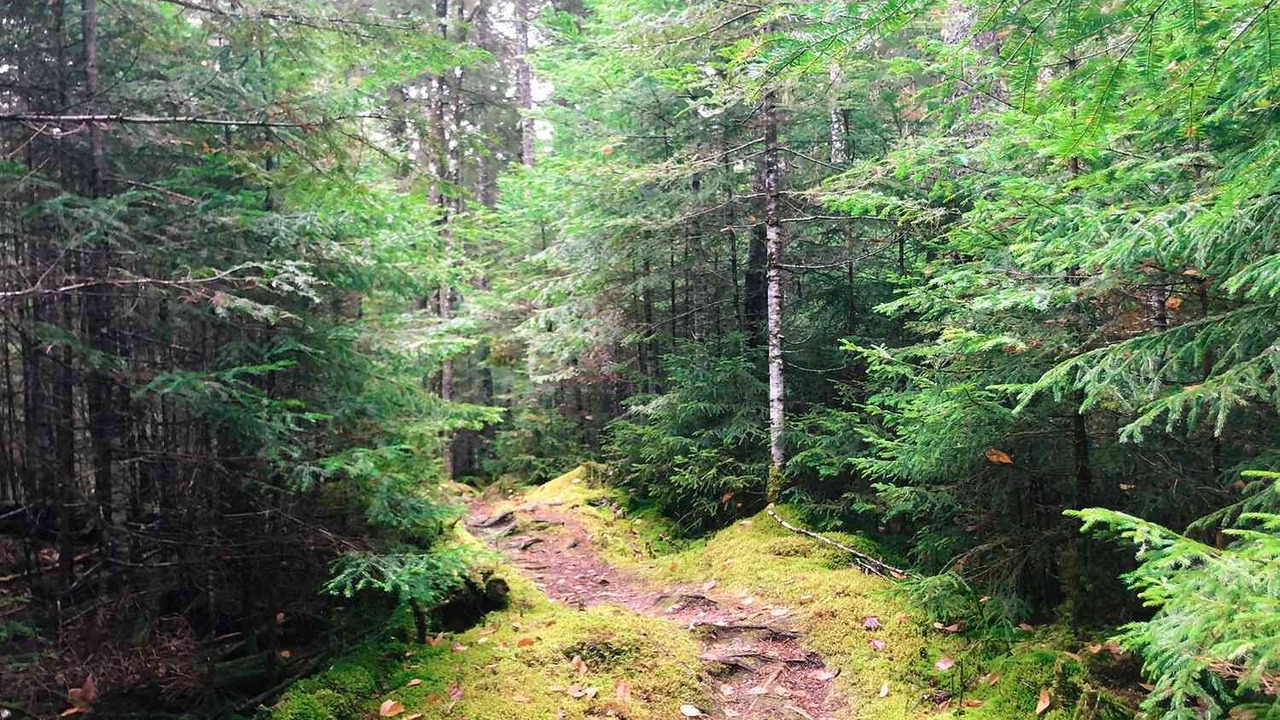 Photo of Outdoor in Wilton