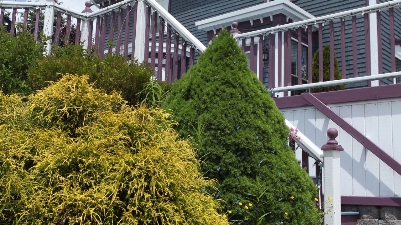 Photo of Outdoor in Queensland