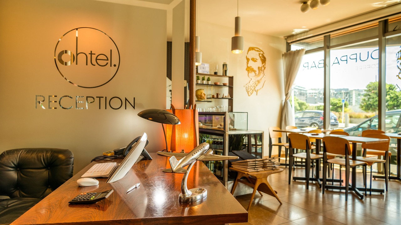 Photo of Others in Oriental Bay