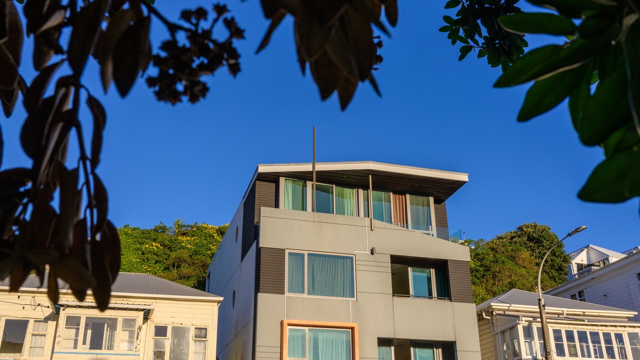 Photo of Outdoor in Oriental Bay