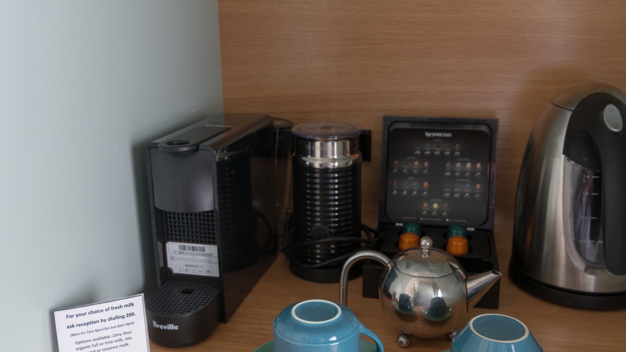 Photo of Others in Oriental Bay