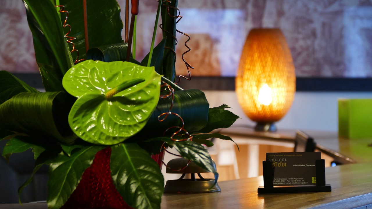 Photo of Others in Angouleme