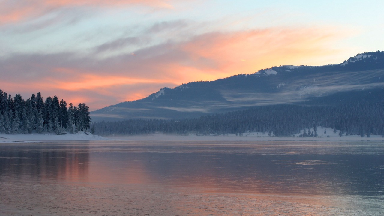 Photo of Others in Tamarack