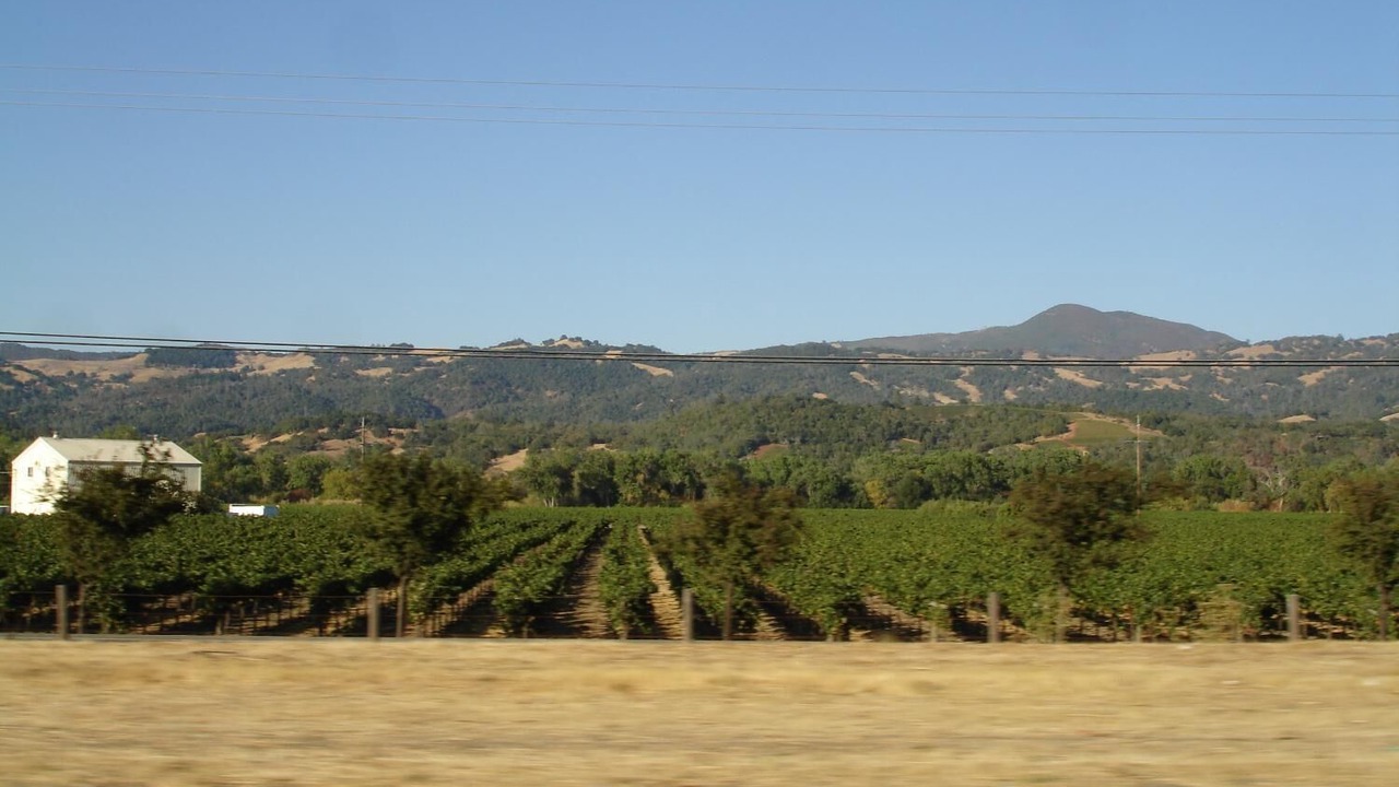 Photo of Outdoor in Lucerne