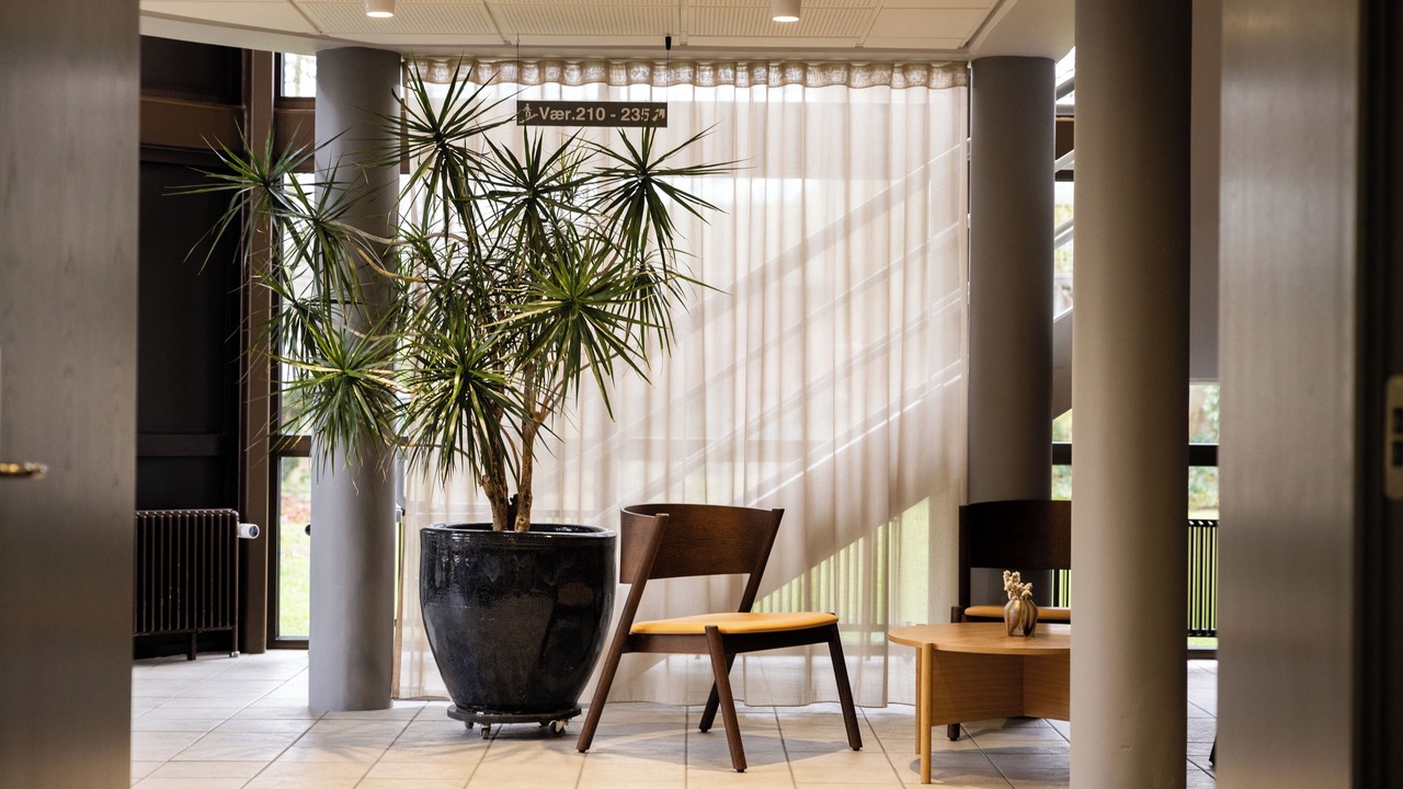 Photo of Outdoor in Korup