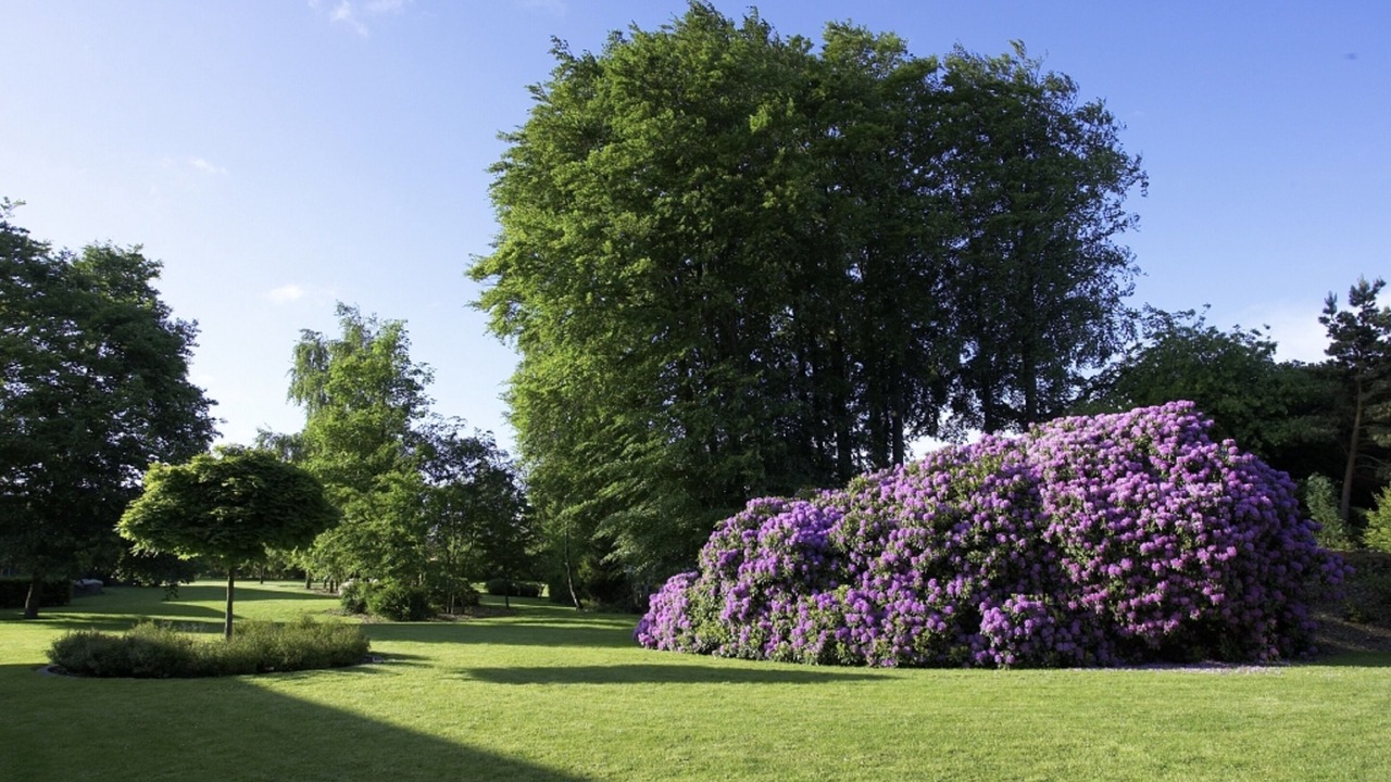 Photo of Bedroom in Korup