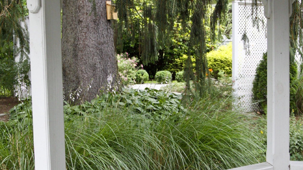 Photo of Outdoor in Madison Center