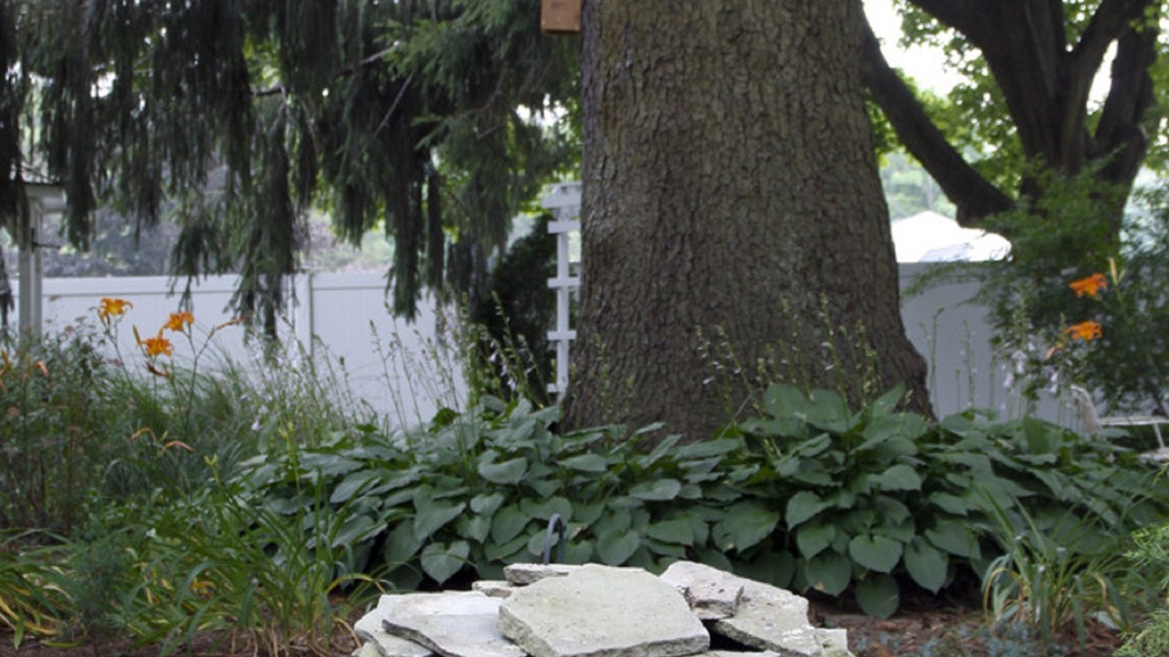 Photo of Outdoor in Madison Center