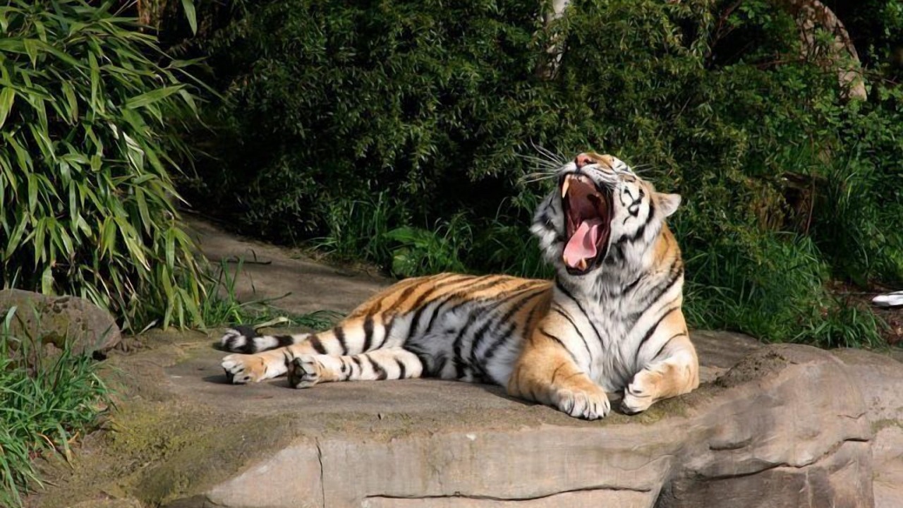 Photo of Others in Camas