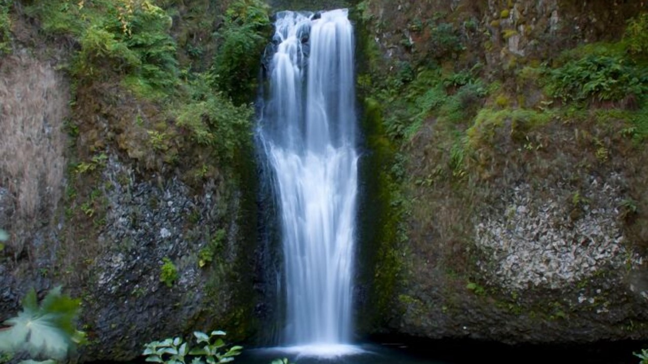 Photo of Others in Camas