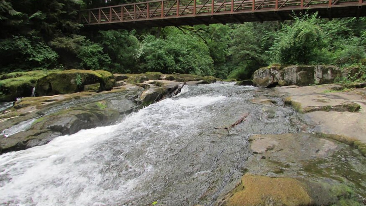 Photo of Others in Camas