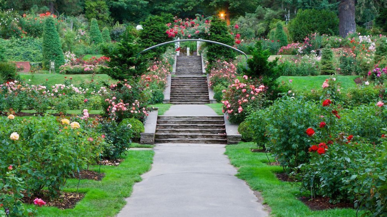 Photo of Others in Camas