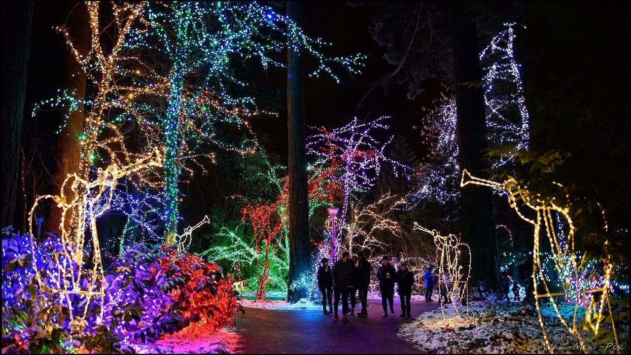 Photo of Others in Camas