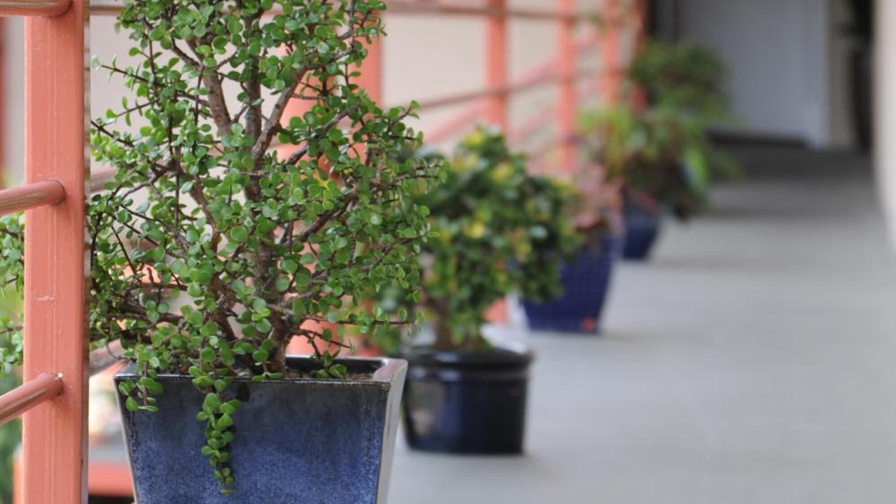 Photo of Others in Epsom