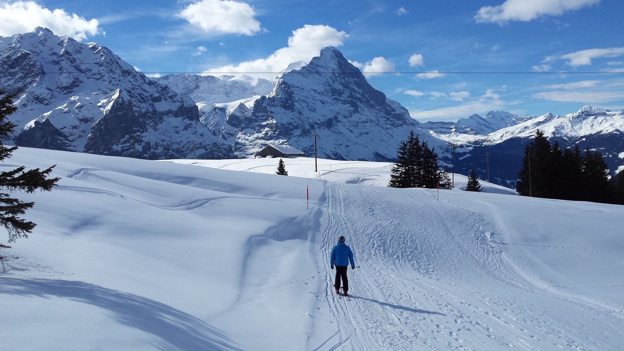 Photo of Others in Grindelwald