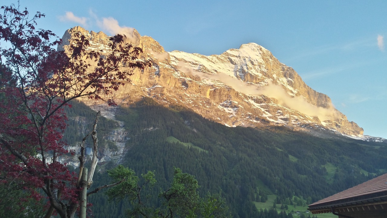 Photo of Bedroom in Grindelwald