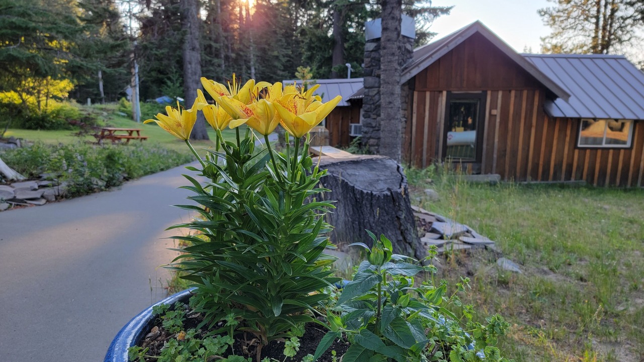 Photo of Outdoor in Mount Hood