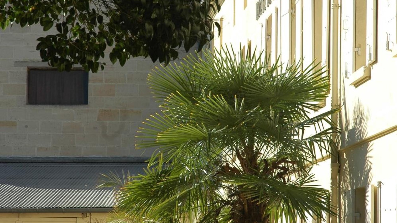 Photo of Outdoor in Libourne