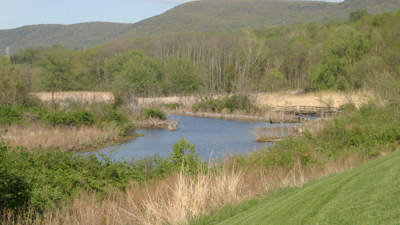 Photo of Outdoor in Vernon