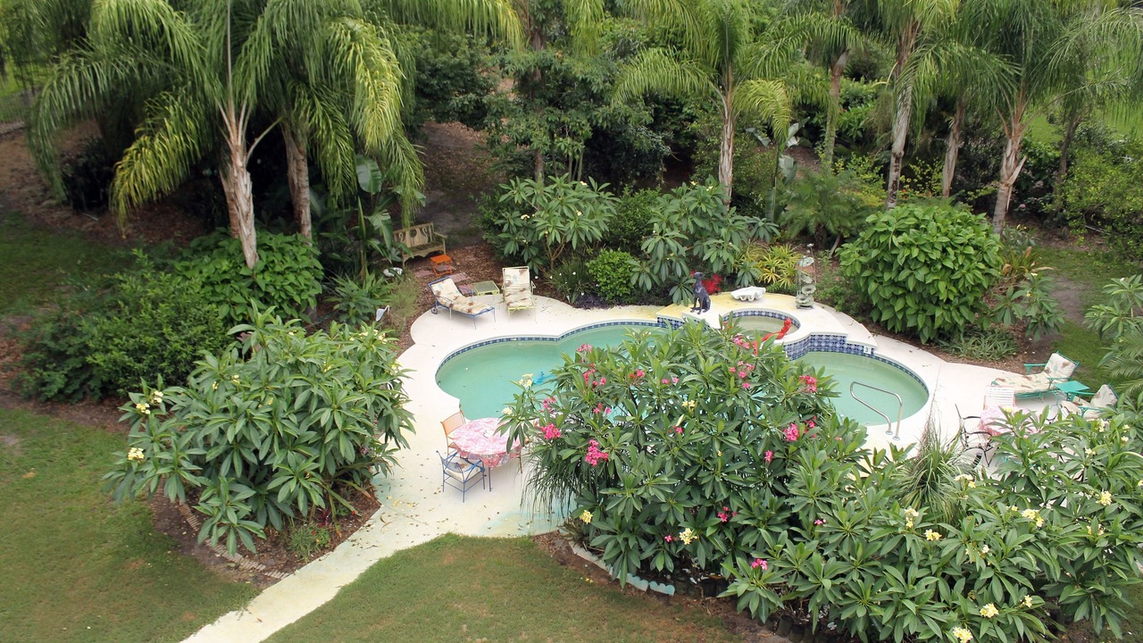 Photo of Outdoor in Mount Dora