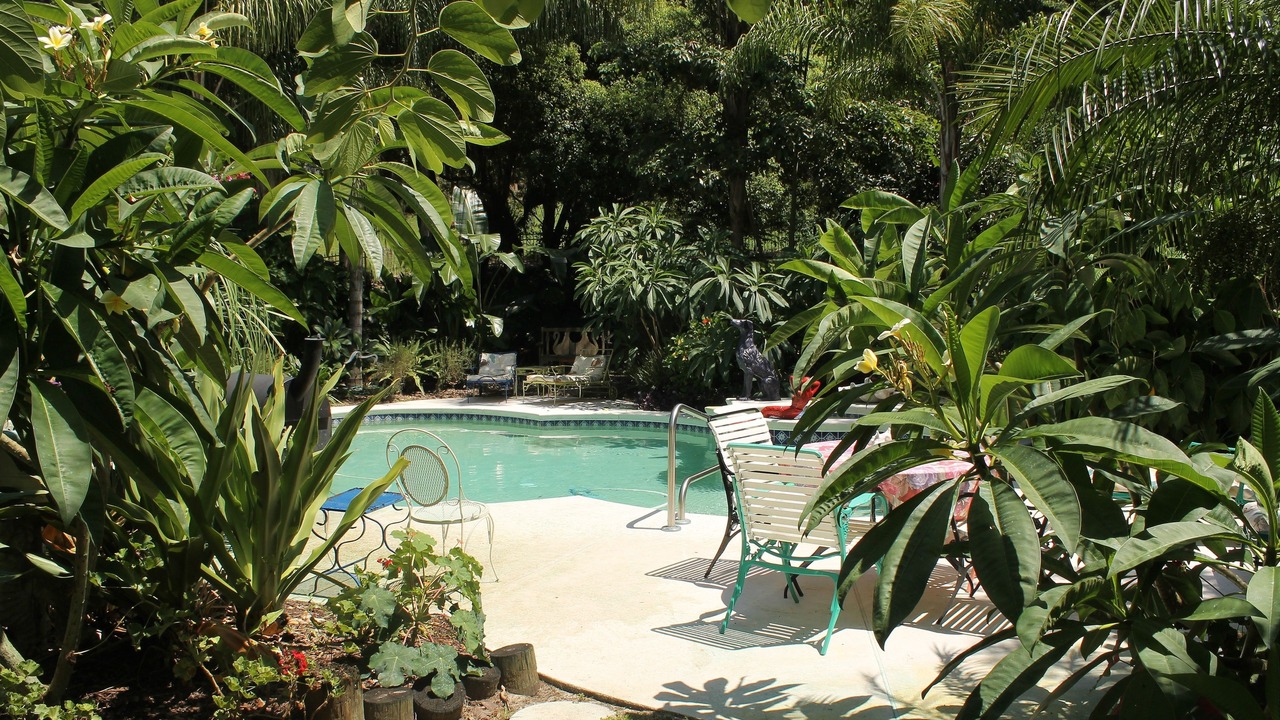 Photo of Outdoor in Mount Dora