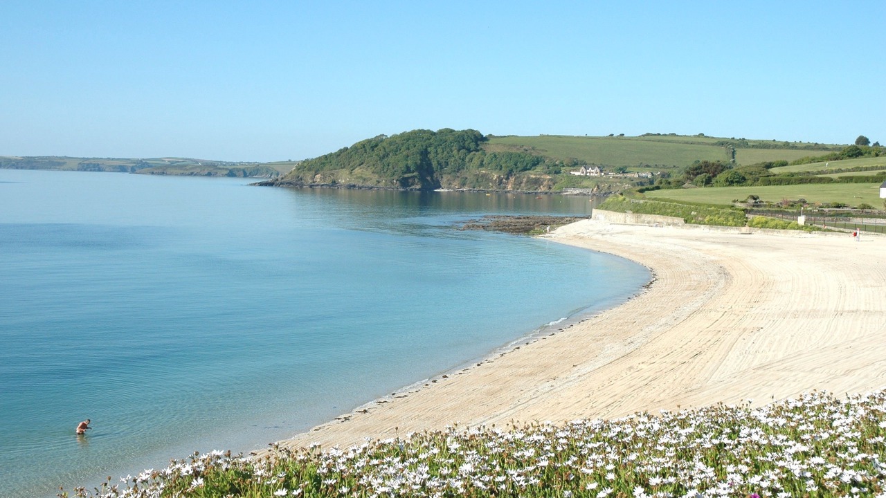 Photo of Others in Maenporth