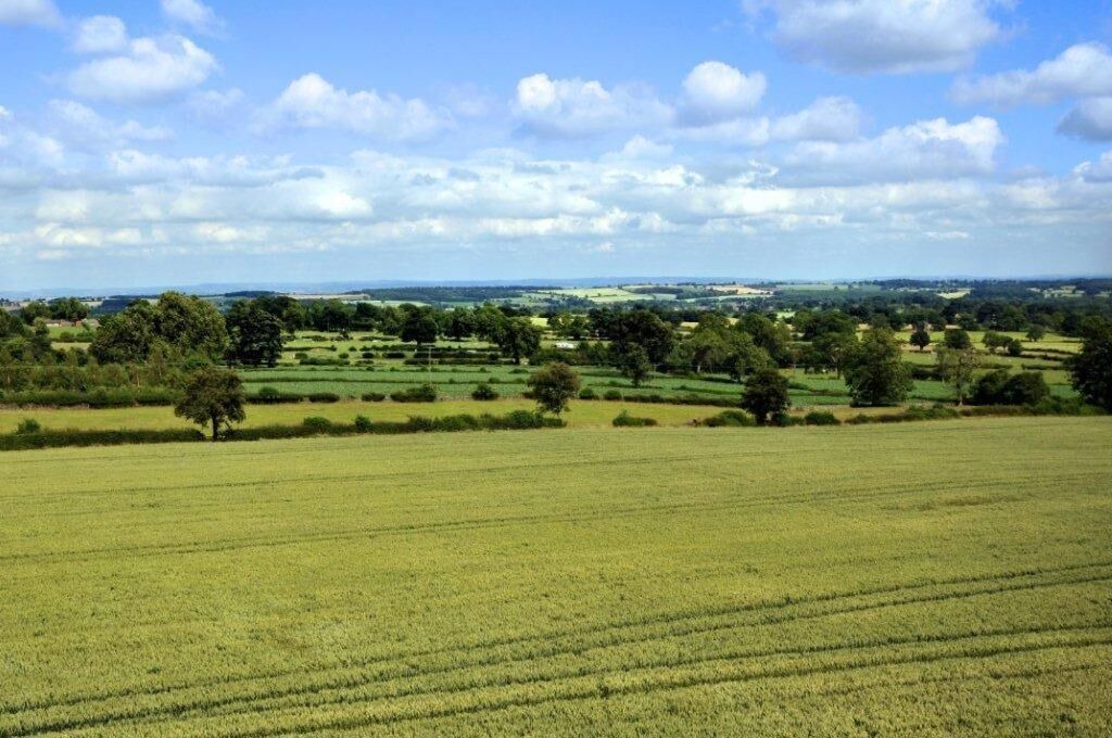 Photo of Others in Fearby