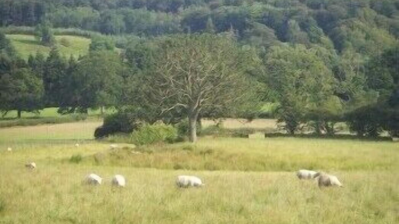 Photo of Outdoor in Fearby