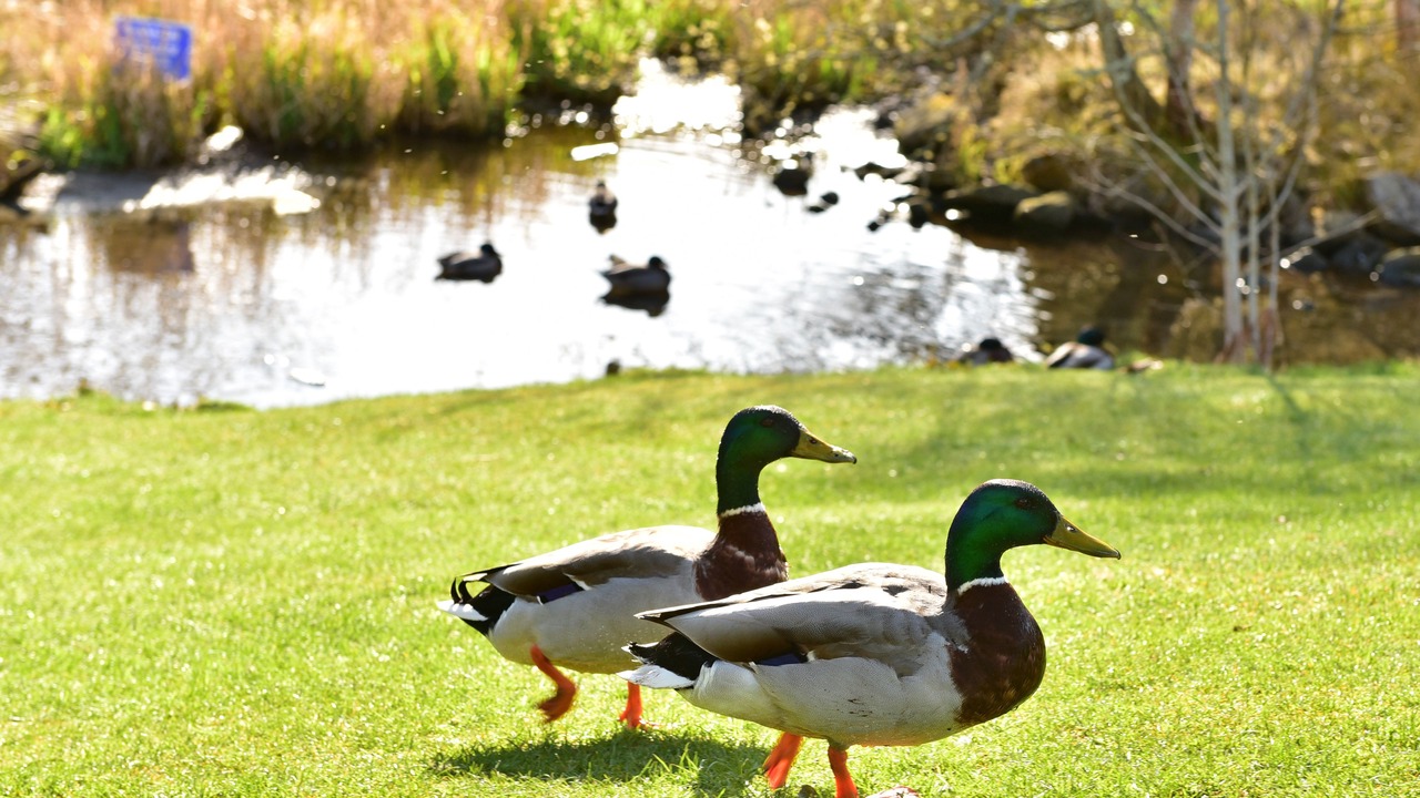 Photo of Outdoor in Aberfeldy