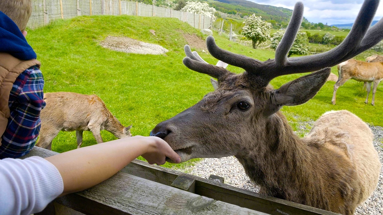 Photo of Others in Aberfeldy