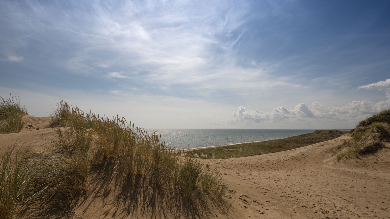 Photo of Others in Skagen
