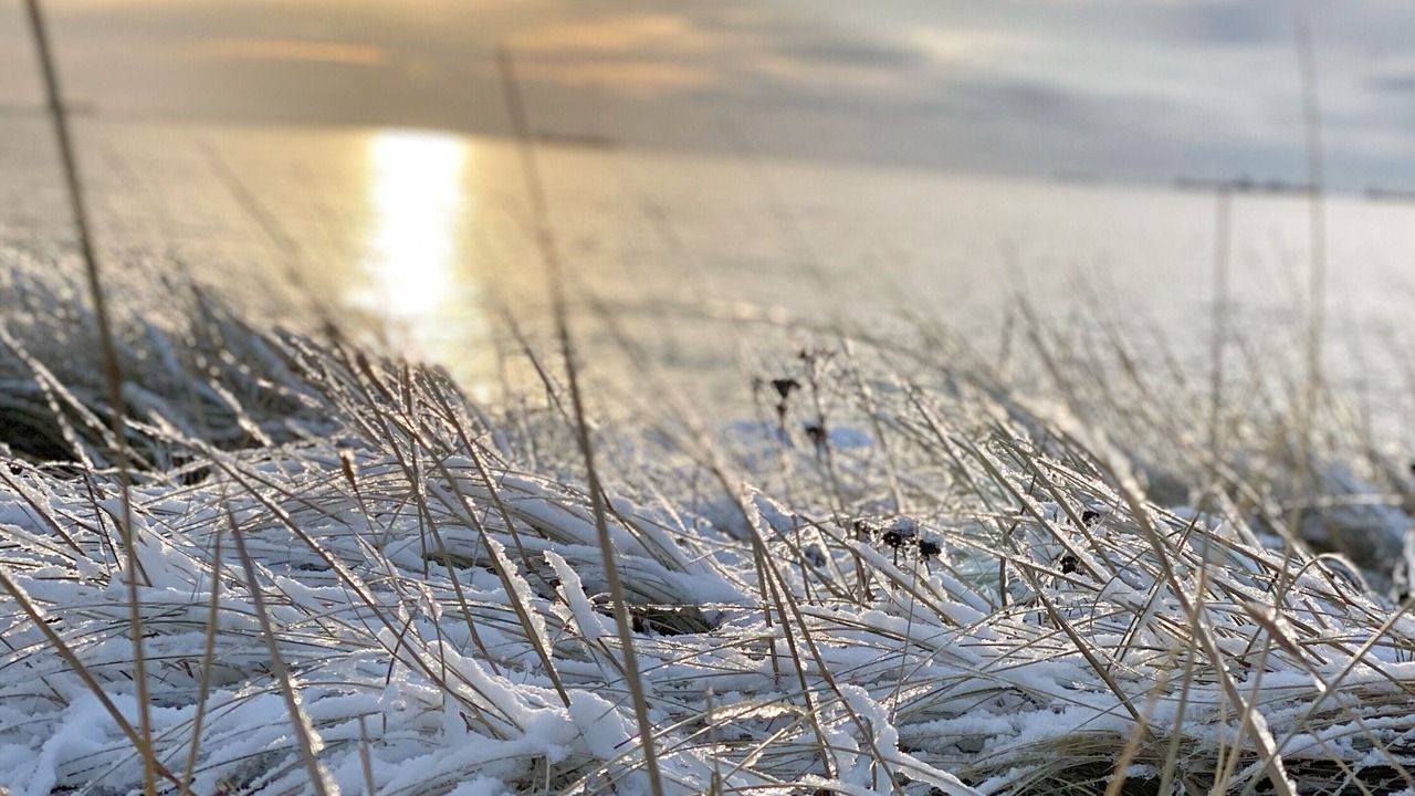 Photo of Others in Skagen