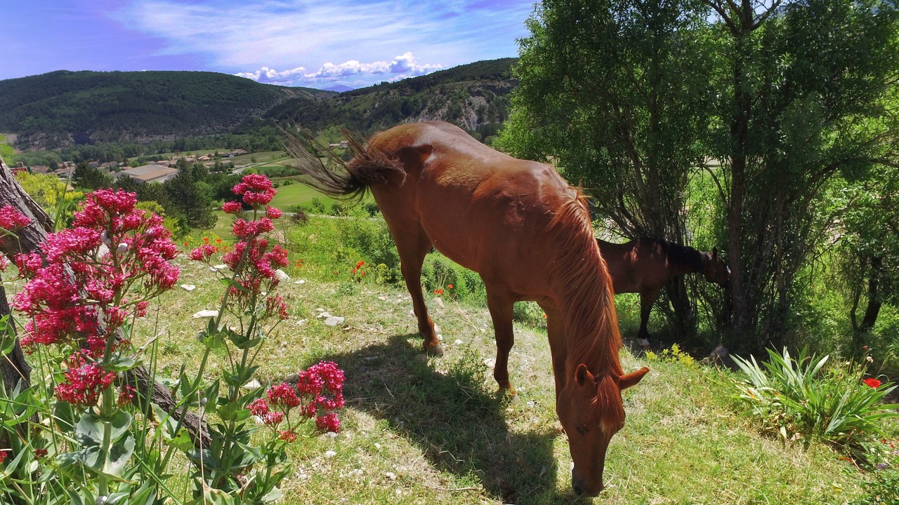 Photo of Outdoor in Lagrand