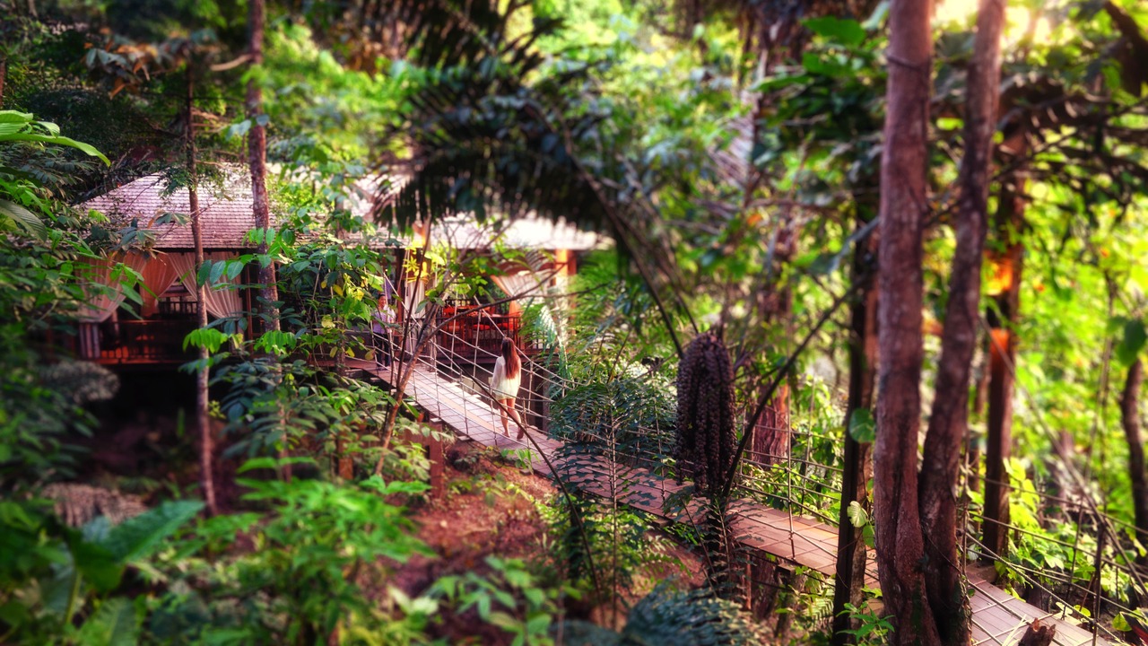 Photo of Others in Pulau Gaya