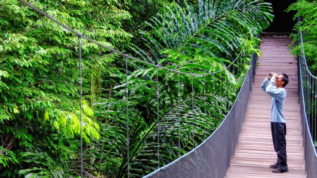 Photo of Outdoor in Pulau Gaya