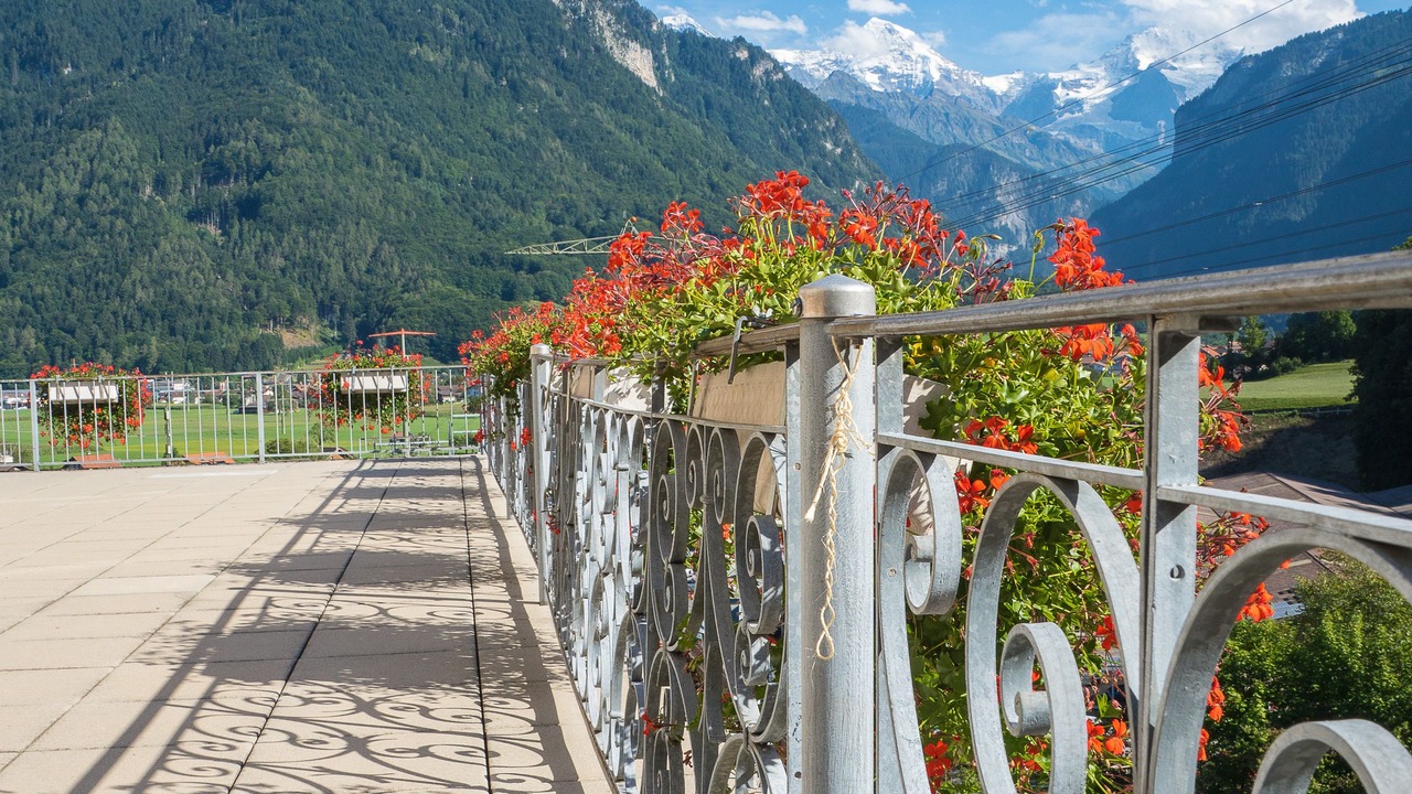 Photo of Others in Matten bei Interlaken
