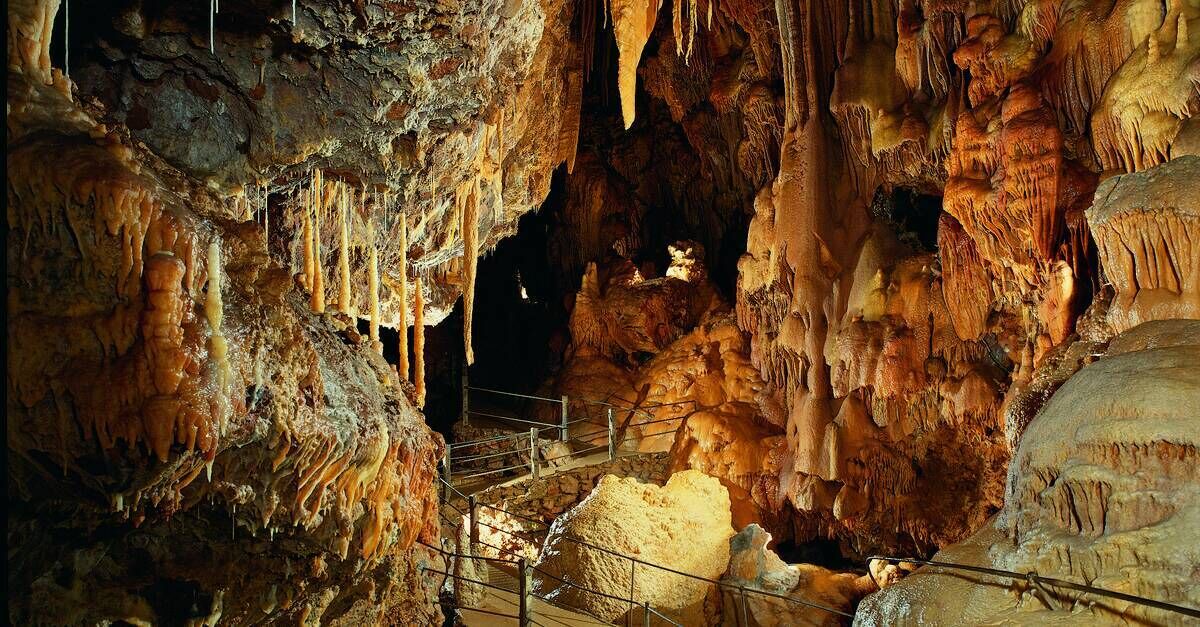 Photo of Others in Mende