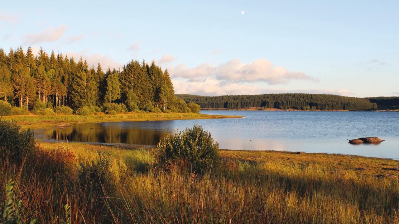 Photo of Others in Mende