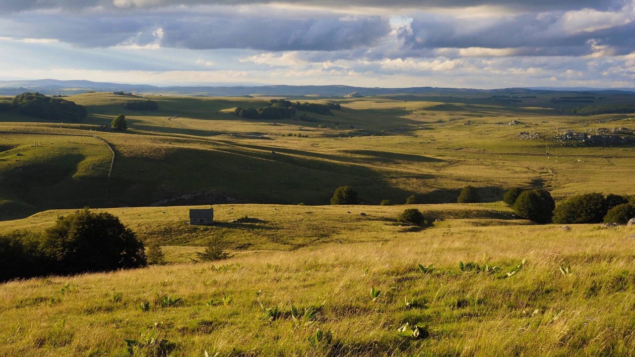 Photo of Others in Mende