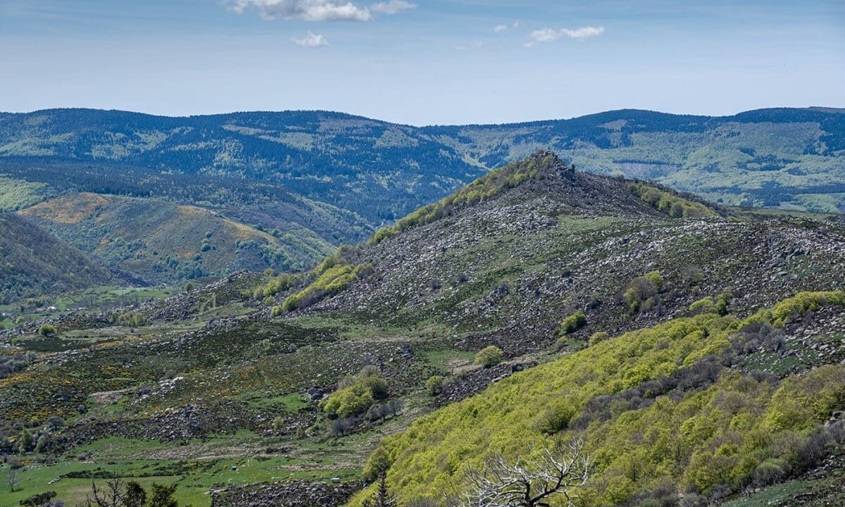 Photo of Others in Mende