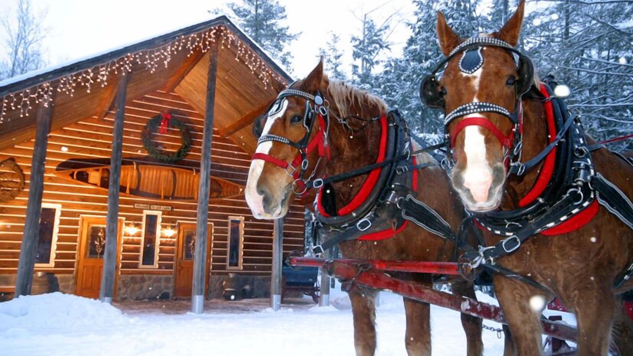 Photo of Others in North Conway