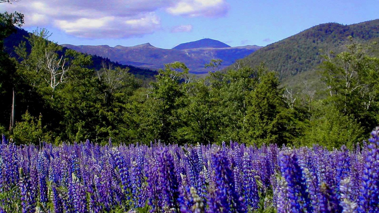 Photo of Outdoor in North Conway