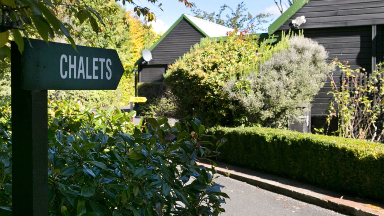 Photo of Others in Turangi