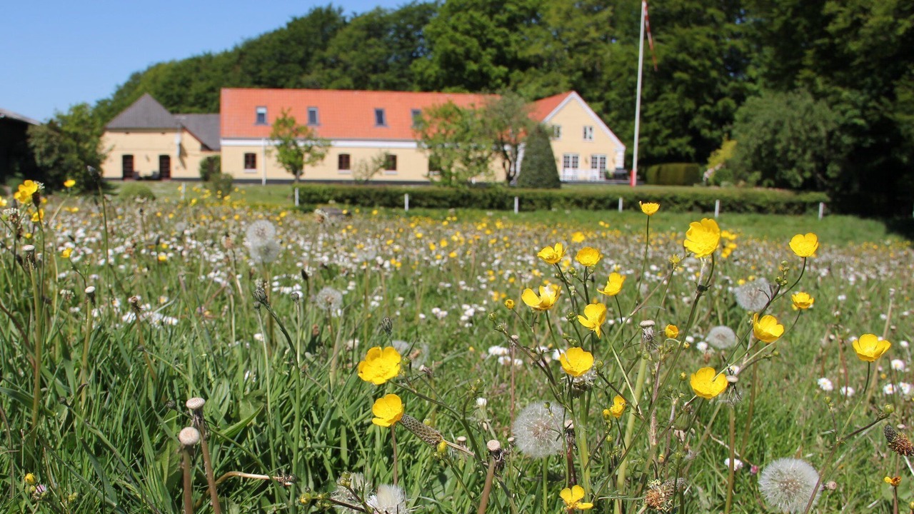 Photo of Outdoor in Borkop