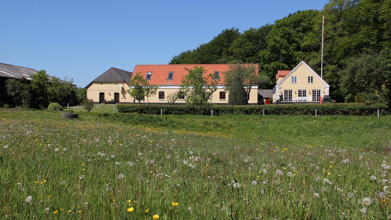 Photo of Outdoor in Borkop