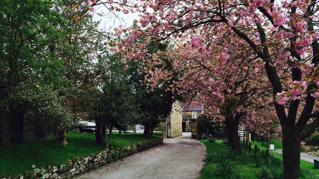 Photo of Outdoor in Lastingham